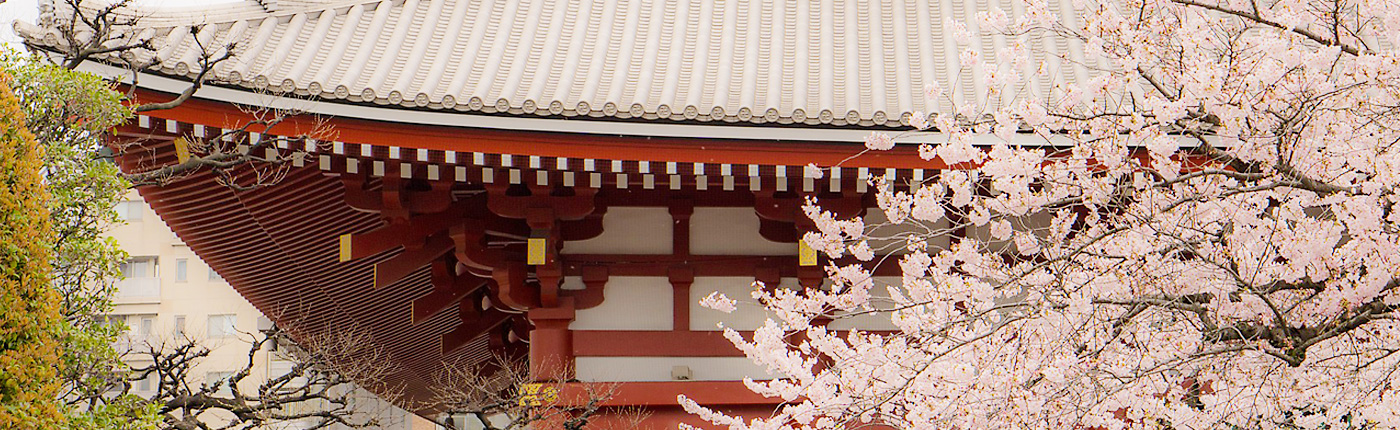 my place in japan